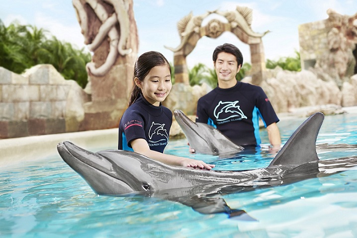 Dolphin Immersion  (with Adventure Cove Waterpark) - Dated